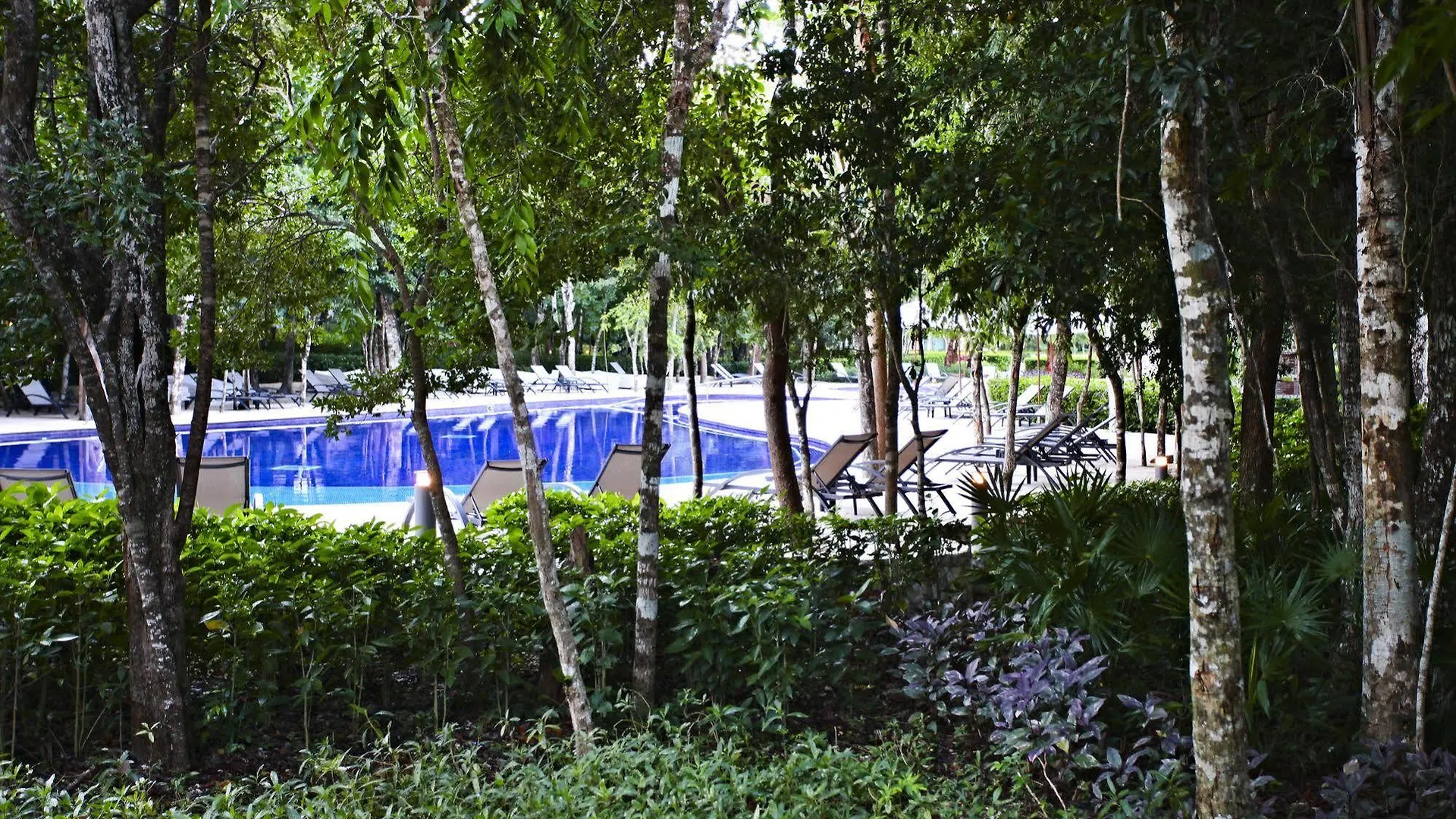 Bahia Principe Luxury Sian Ka'An (Adults Only) Hotel Riviera Maya 5*,